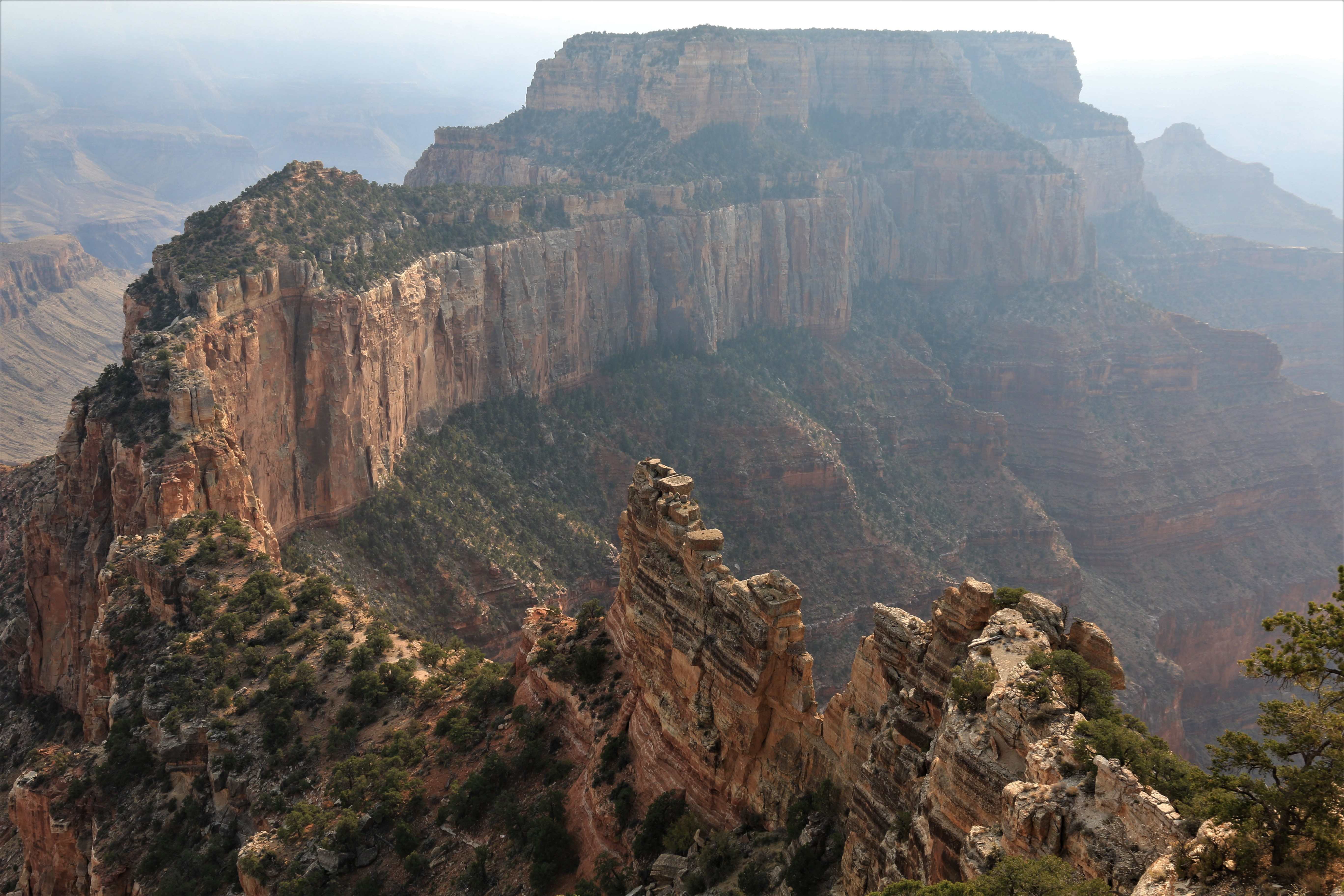 Grand Canyon North Rim